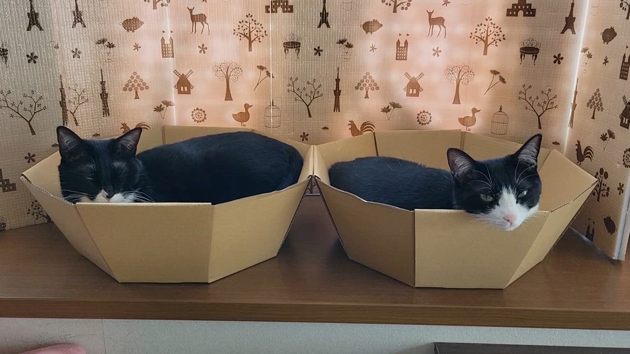 全体のレビュー動画のサムネイル | 0