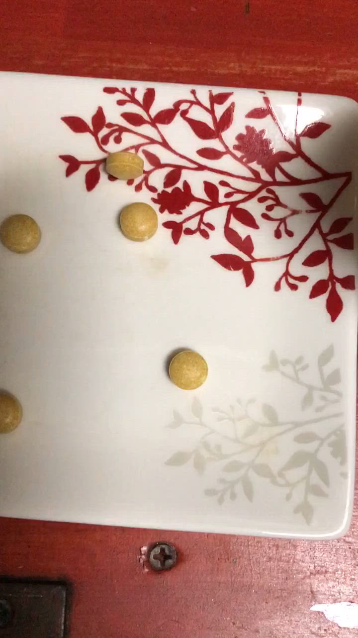 全体のレビュー動画のサムネイル | 7