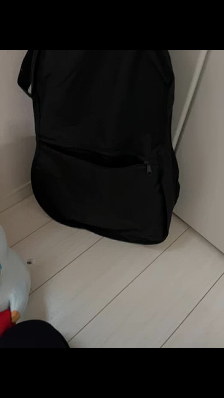 ARIA（アリア） ギターケース ARIA PB-AG アコースティックギター