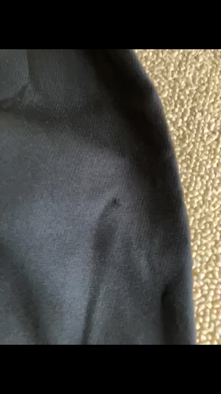 全体のレビュー動画のサムネイル | 1