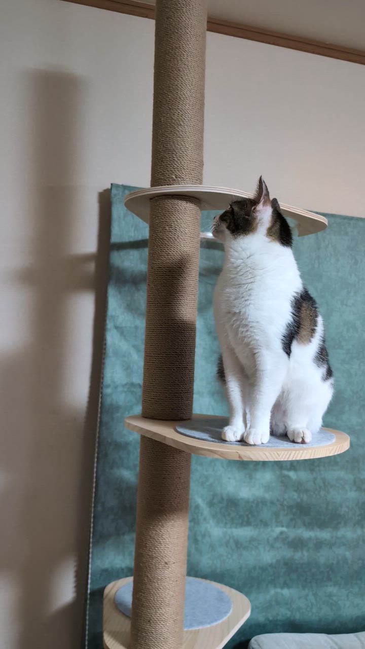 RAKU ヤフー1位 キャットタワー 猫タワー 突っ張り 特許技術