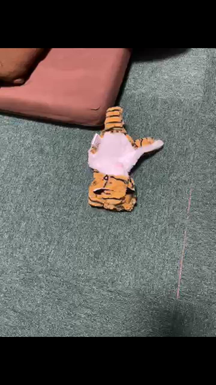 全体のレビュー動画のサムネイル | 4