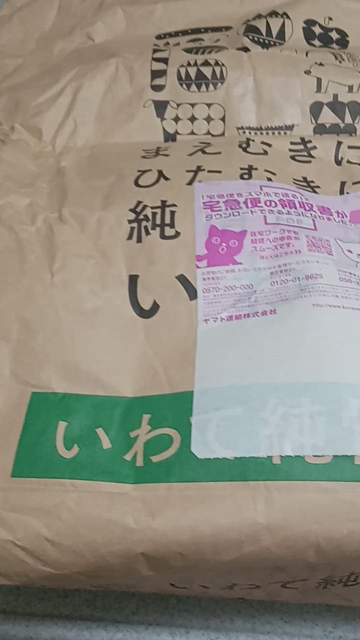 数量限定 米 10kg お米 無洗米 いちおし米 5kg×2袋 岩手の米屋
