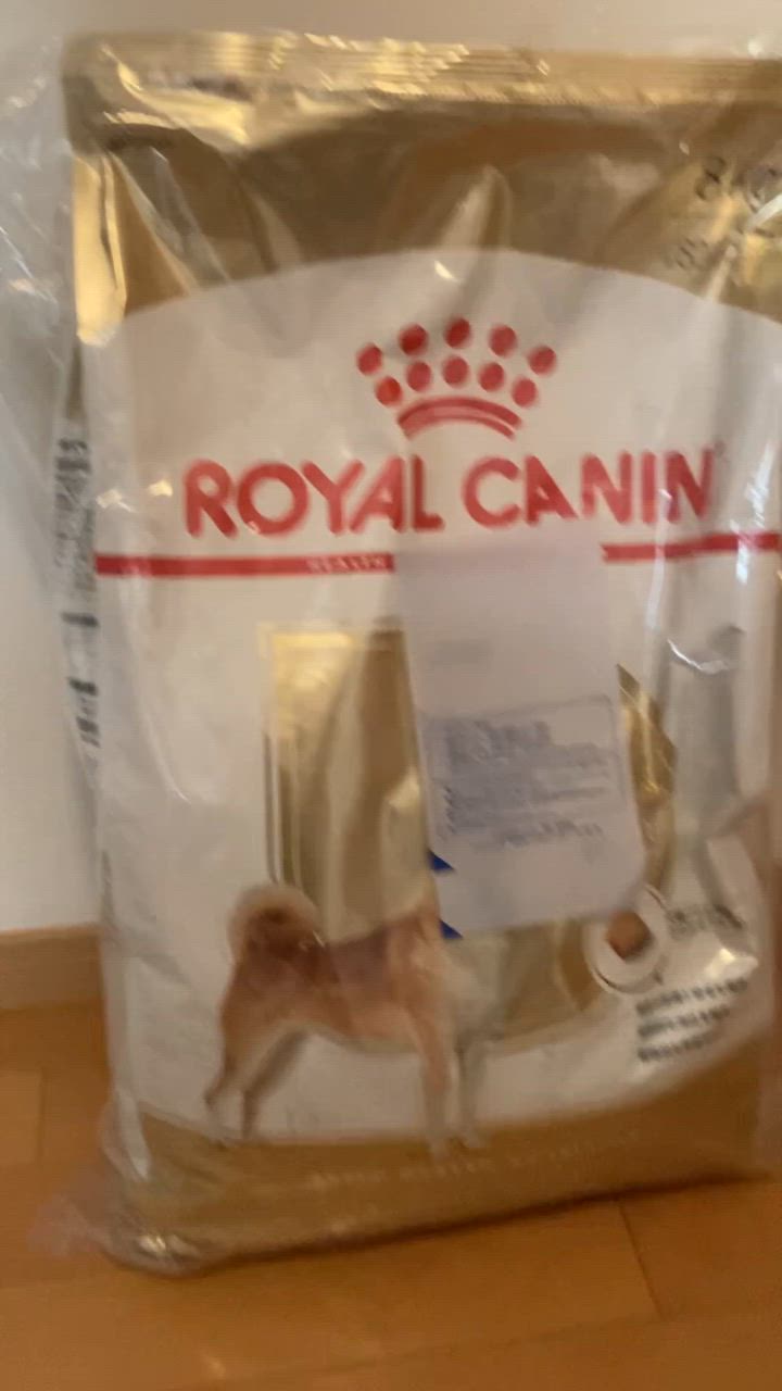 全体のレビュー動画のサムネイル | 6