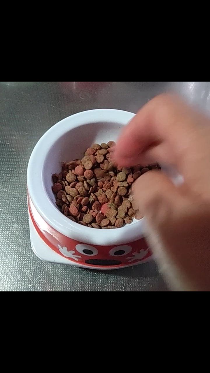 全体のレビュー動画のサムネイル | 5