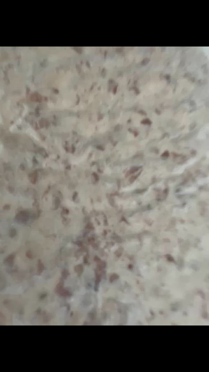 全体のレビュー動画のサムネイル | 0