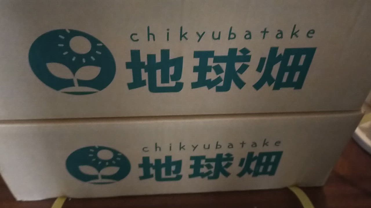 全体のレビュー動画のサムネイル | 0