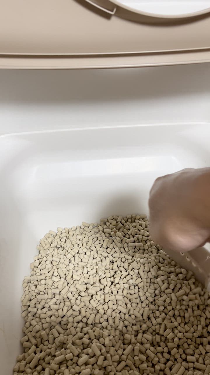 全体のレビュー動画のサムネイル | 9