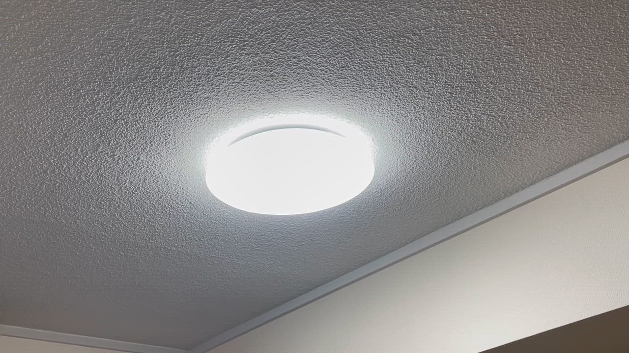 全体のレビュー動画のサムネイル | 1