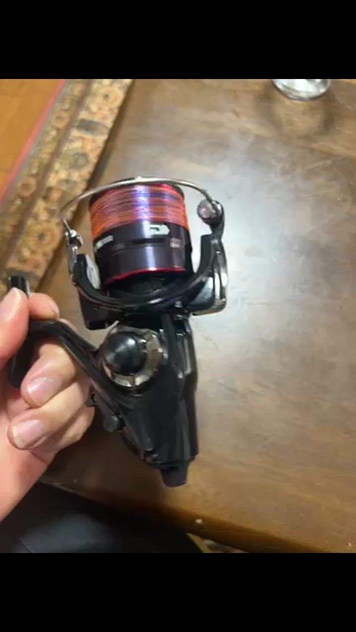 DAIWA（釣り） ダイワ スピニングリール アオリトライアル BR