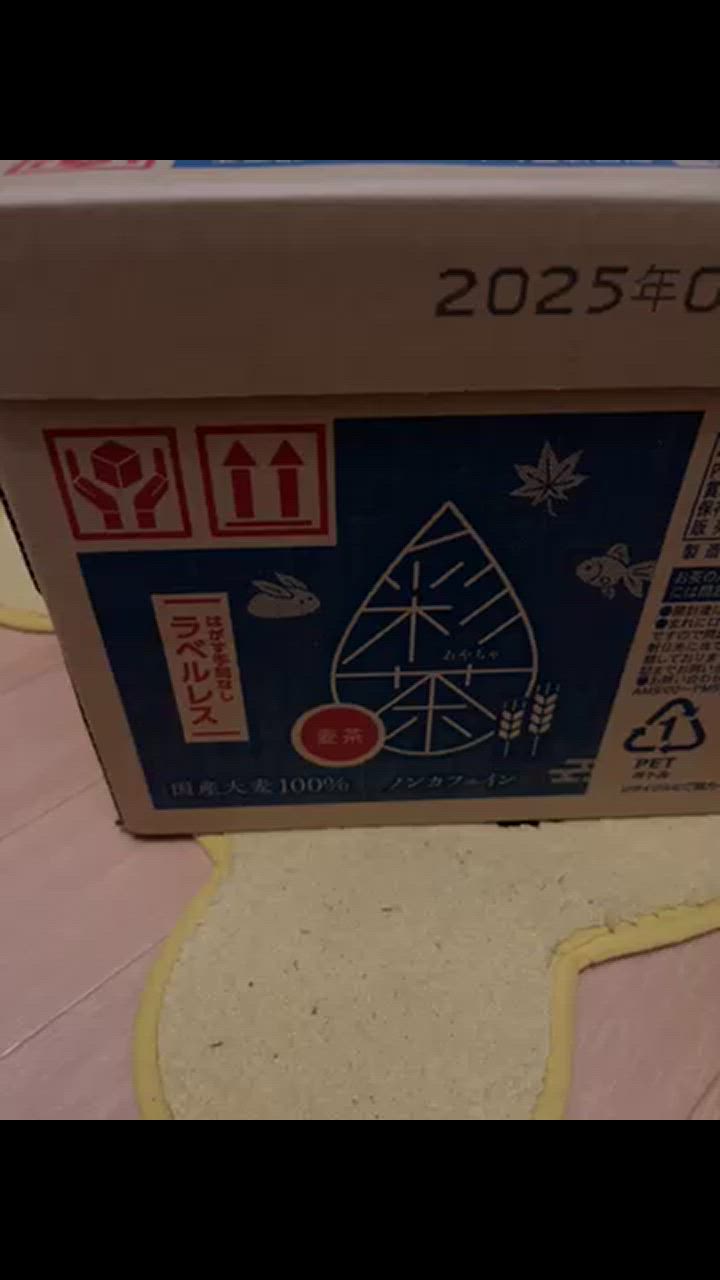 全体のレビュー動画のサムネイル | 17