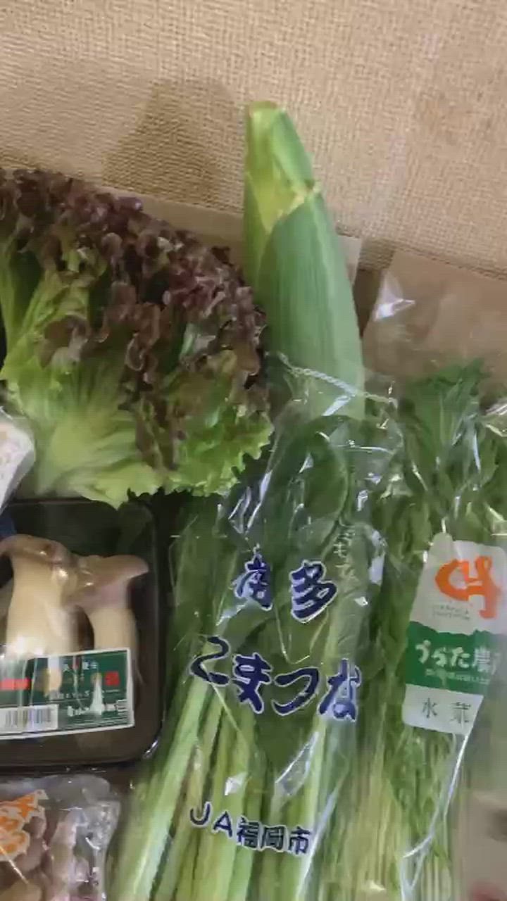 全体のレビュー動画のサムネイル | 3