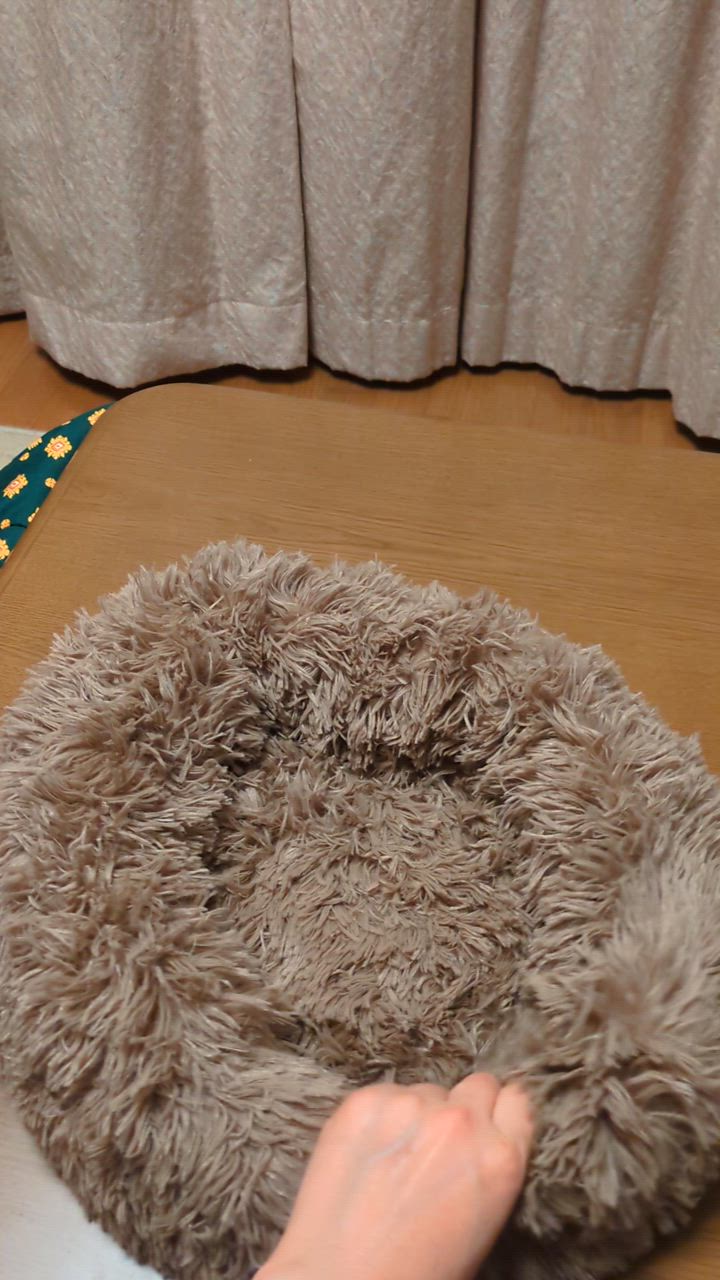 1件目のレビュー動画のサムネイル | 0