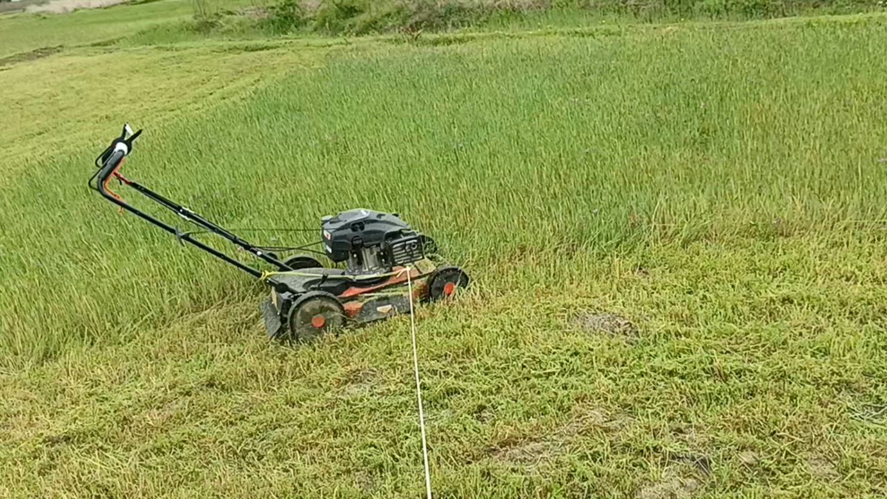 全体のレビュー動画のサムネイル | 2