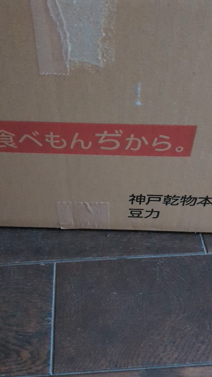 全体のレビュー動画のサムネイル | 8