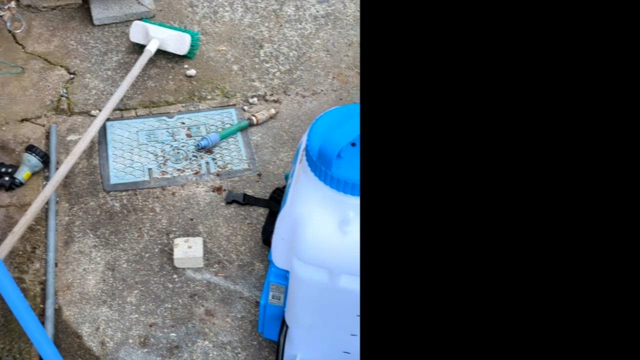 全体のレビュー動画のサムネイル | 13