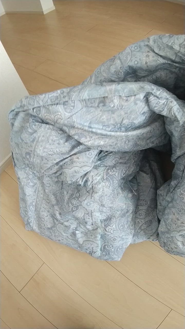 全体のレビュー動画のサムネイル | 11