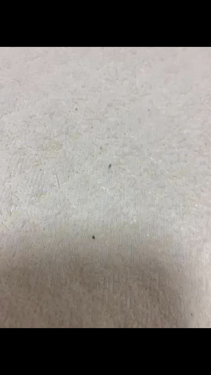 全体のレビュー動画のサムネイル | 0
