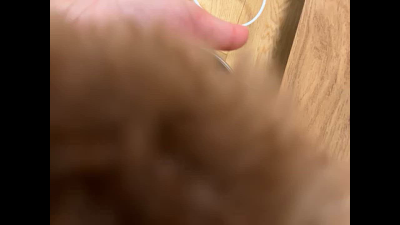 全体のレビュー動画のサムネイル | 16