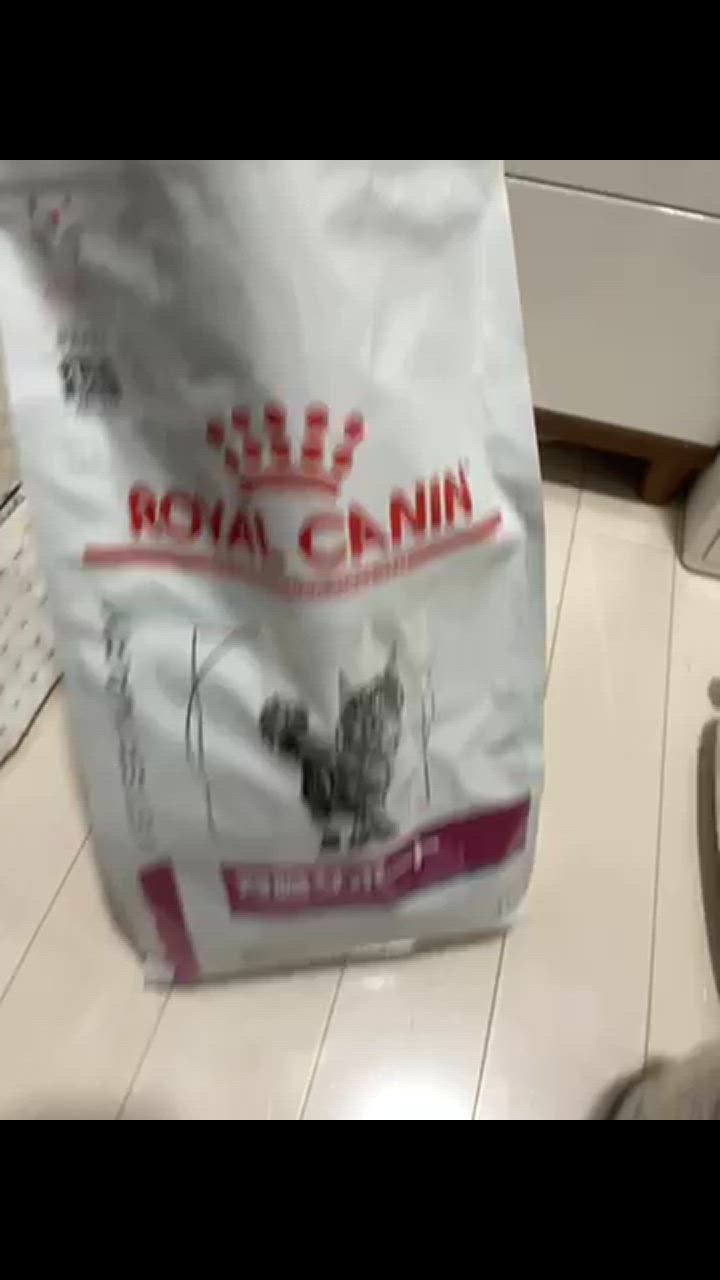 ロイヤルカナン 療法食 猫用 腎臓サポート ドライ 4kg : ペット ロイヤルカナン 療法食 猫用 腎臓サポート ドライ 4kg : ペット