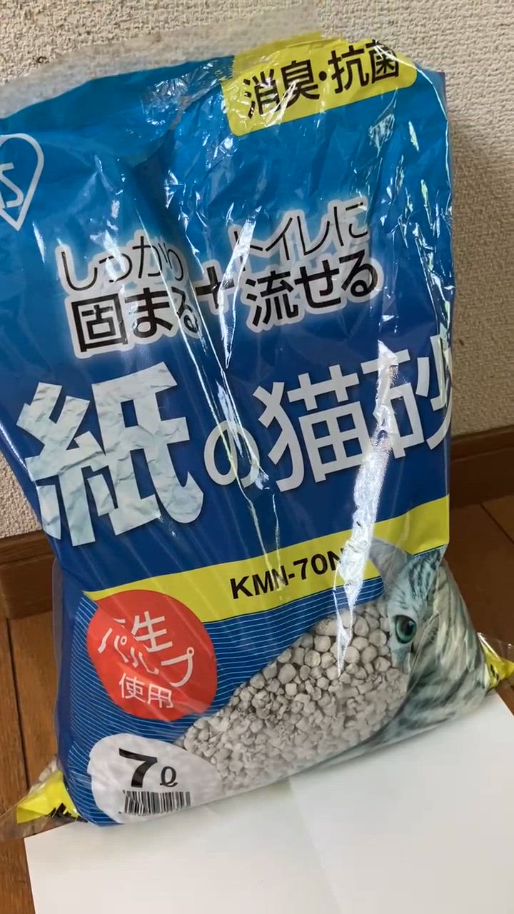 全体のレビュー動画のサムネイル | 4