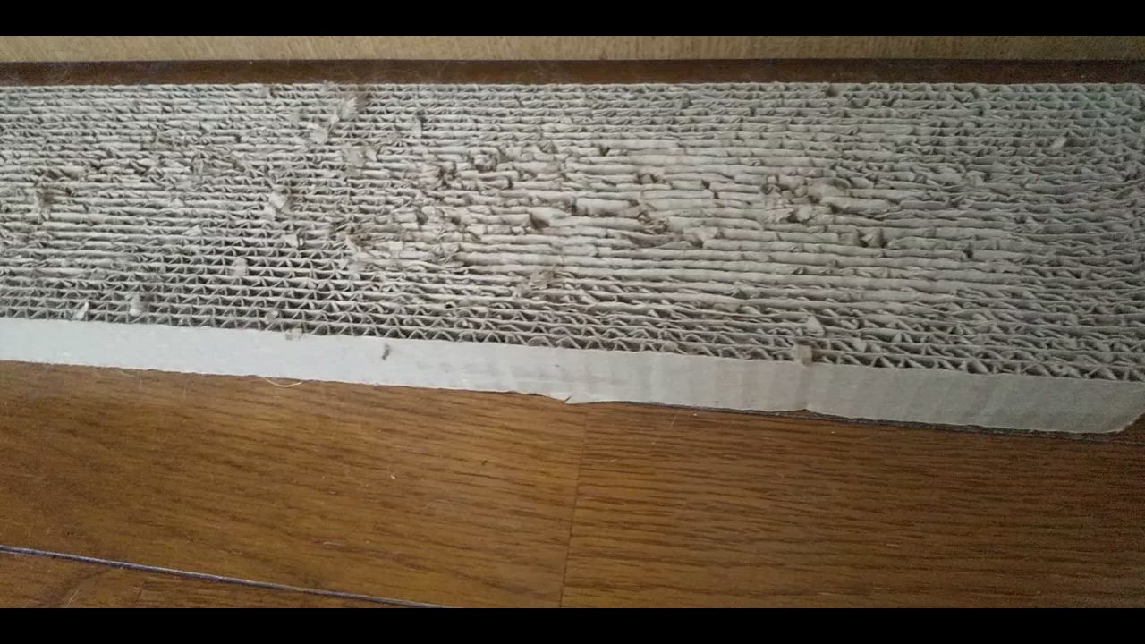 全体のレビュー動画のサムネイル | 9