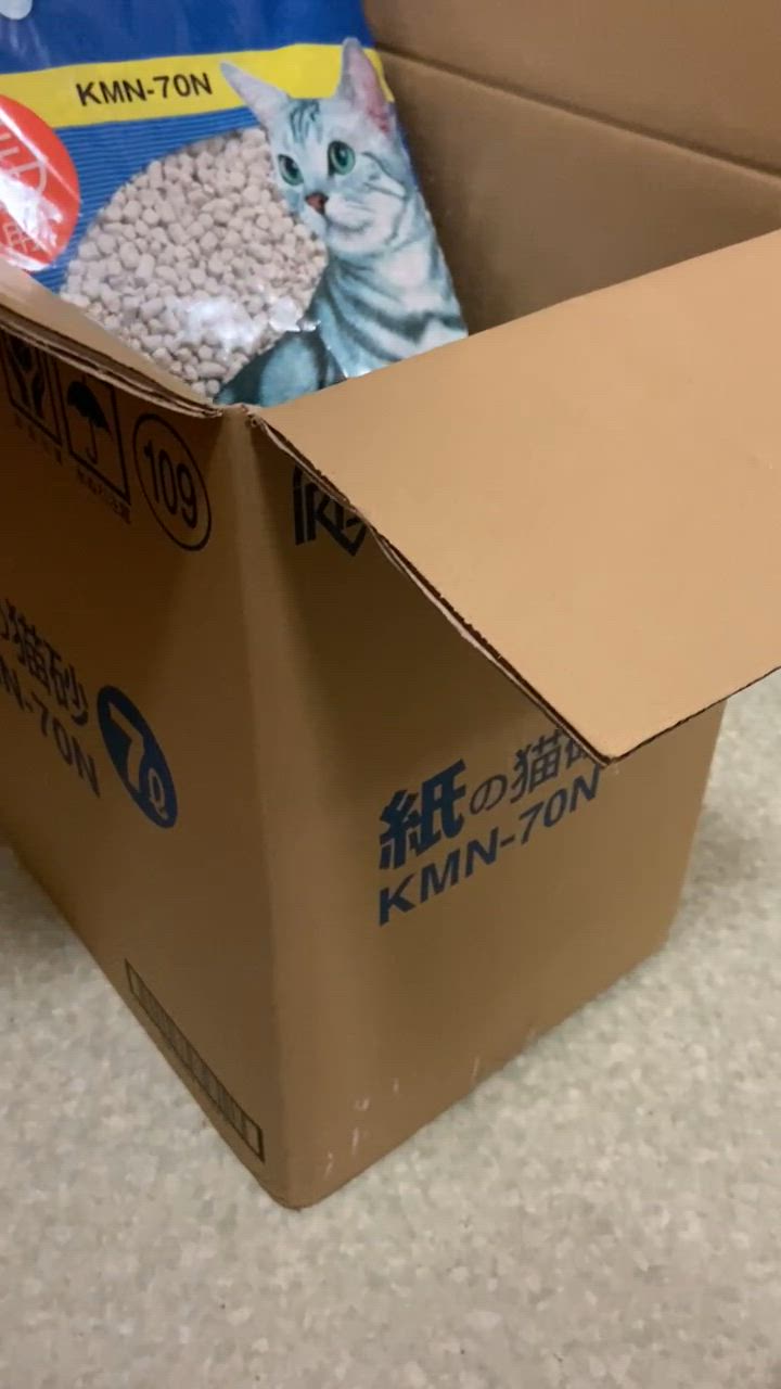 全体のレビュー動画のサムネイル | 3