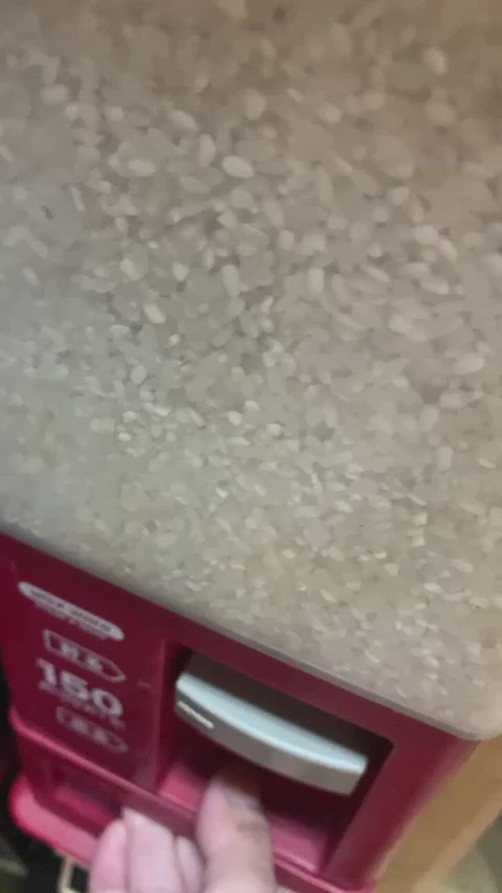 8件目のレビュー動画のサムネイル | 0