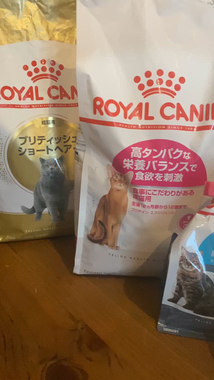 全体のレビュー動画のサムネイル | 3