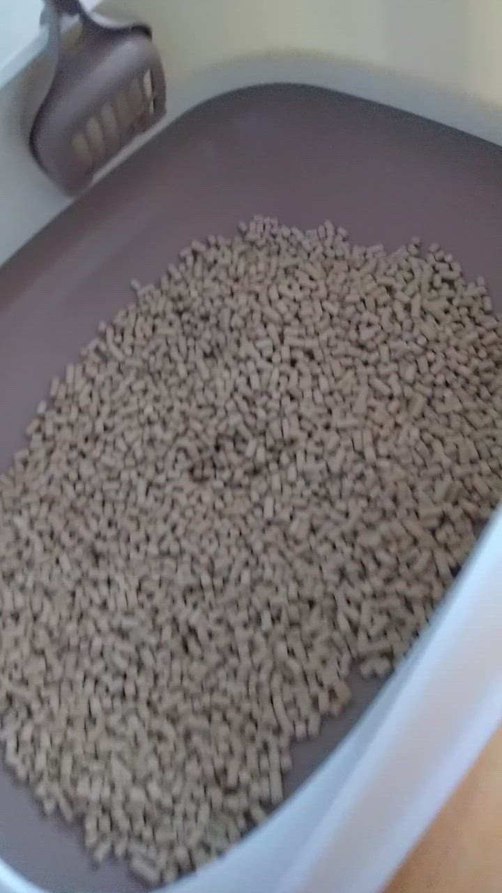 全体のレビュー動画のサムネイル | 8