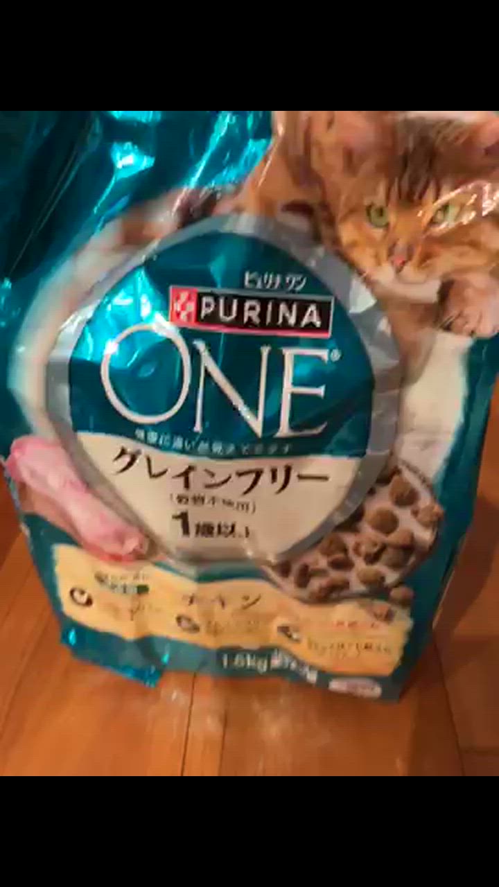 ピュリナワン 【1.6kg×3袋】ネスレ ピュリナ ワン キャット