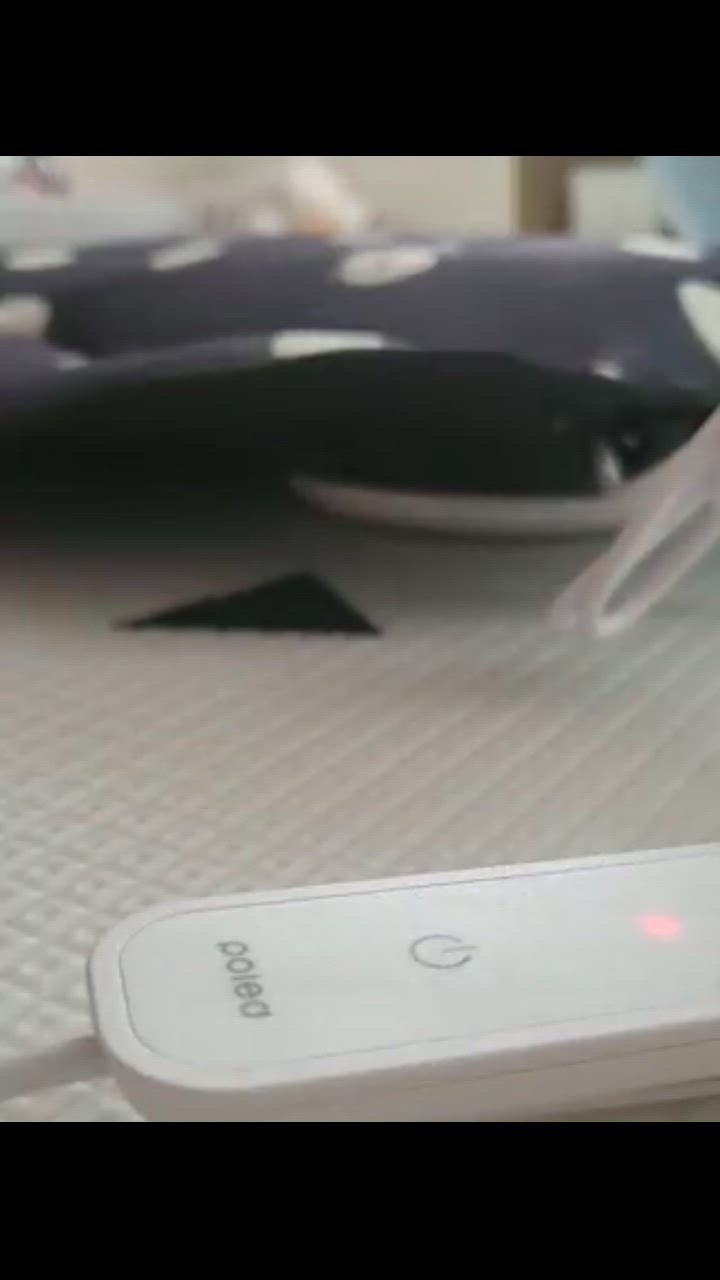 全体のレビュー動画のサムネイル | 14