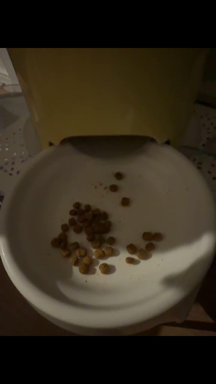 全体のレビュー動画のサムネイル | 3