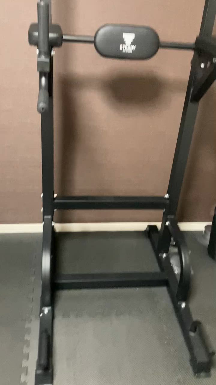 STEADY 懸垂マシン ぶら下がり健康器 改良バー 動画付き