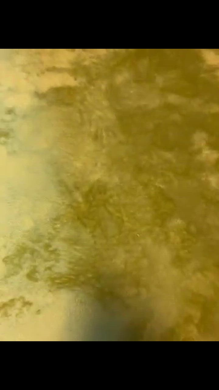全体のレビュー動画のサムネイル | 1