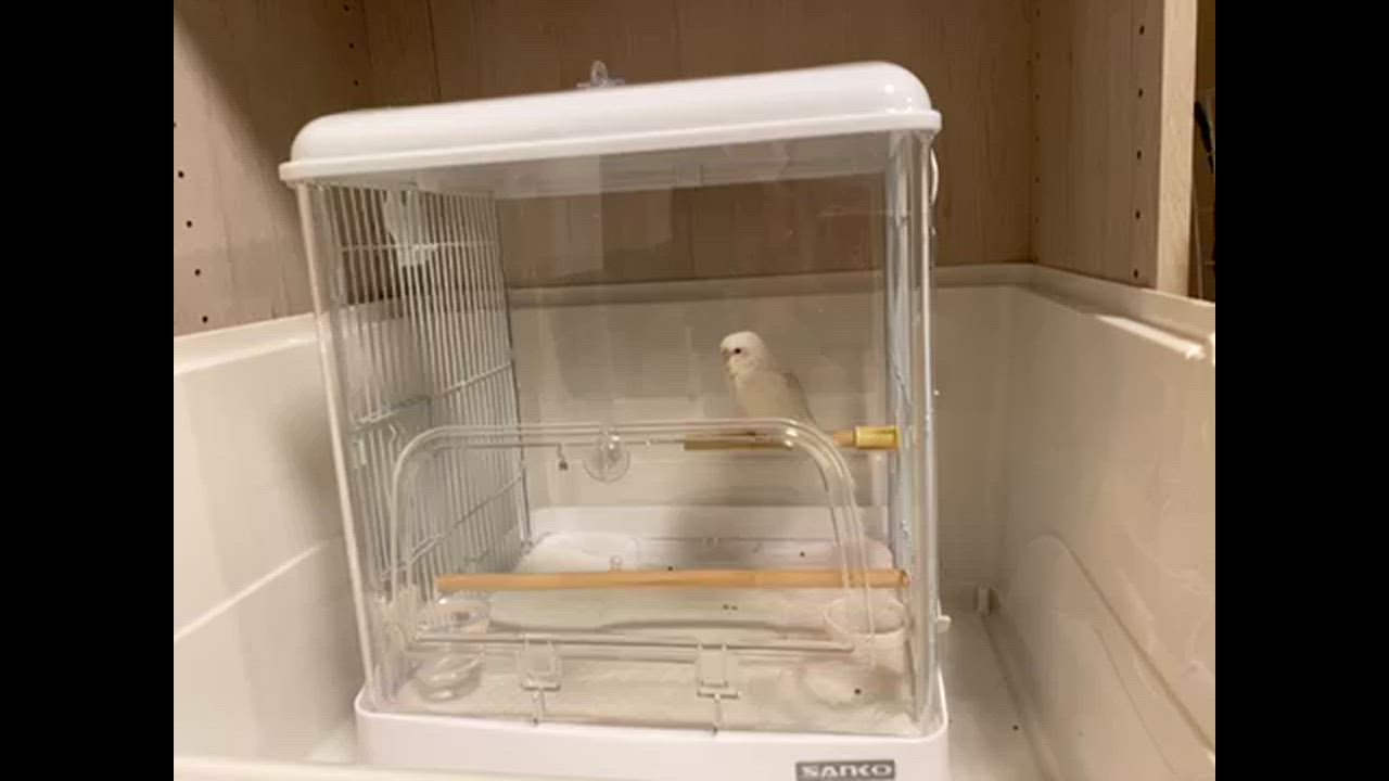 イージーホーム 鳥籠 鳥 ケージ 三晃商会 イージーホーム クリア