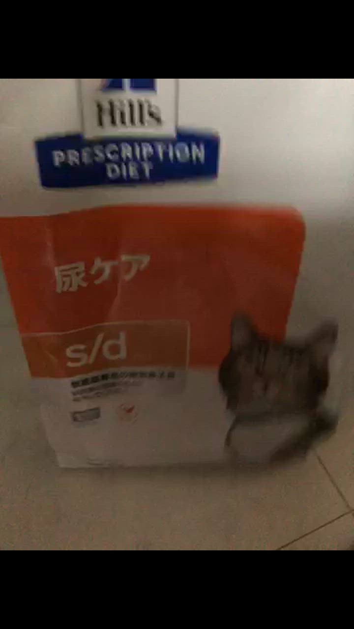 ヒルズ 【3袋セット】ヒルズ 食事療法食 猫用 s/d エスディー 尿