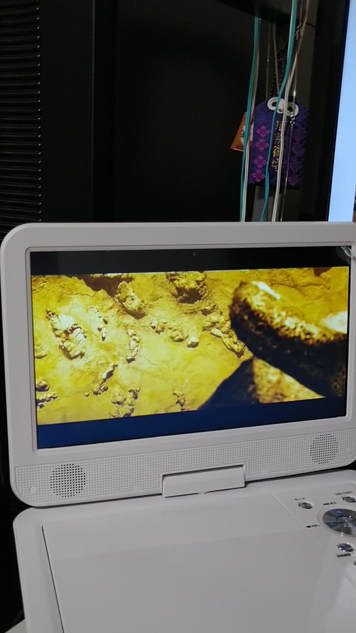 全体のレビュー動画のサムネイル | 9
