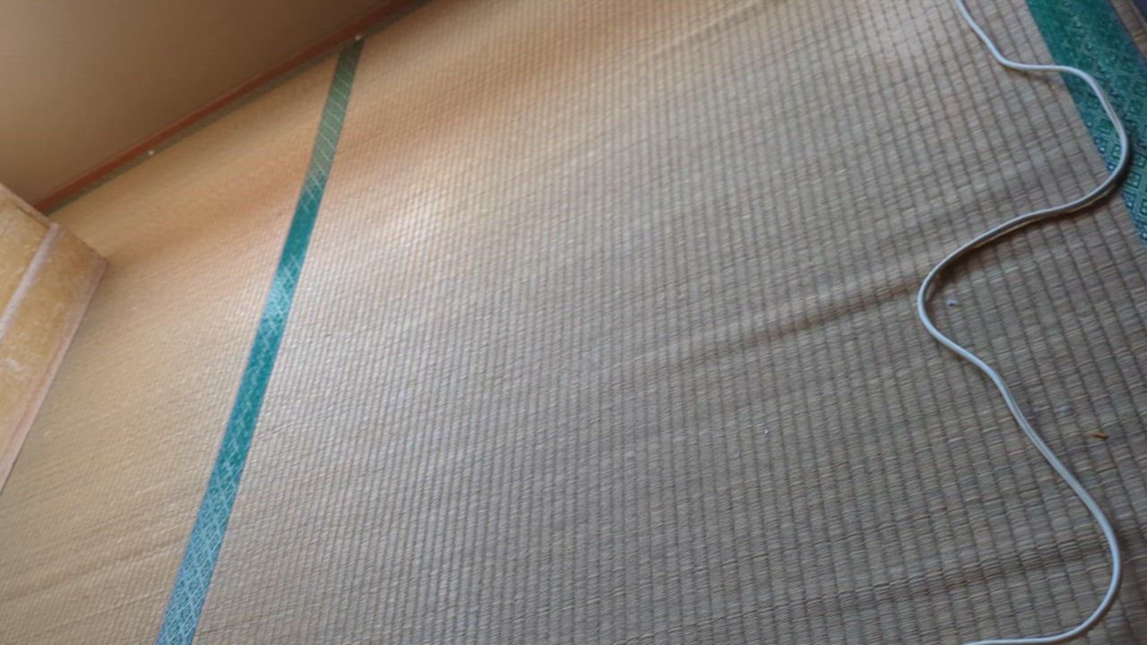 全体のレビュー動画のサムネイル | 0
