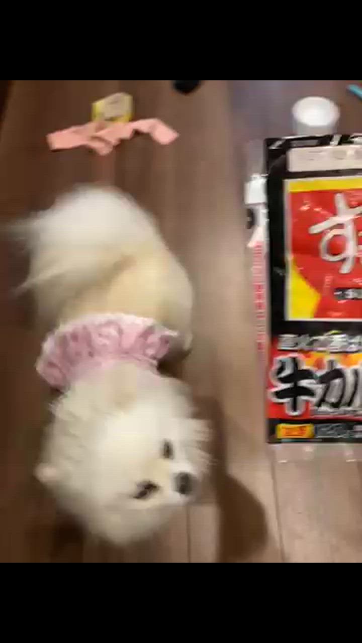 全体のレビュー動画のサムネイル | 19