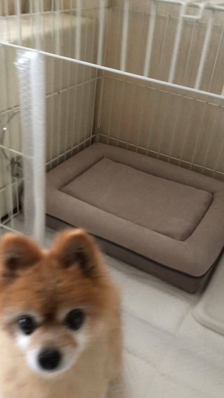 1件目のレビュー動画のサムネイル | 0