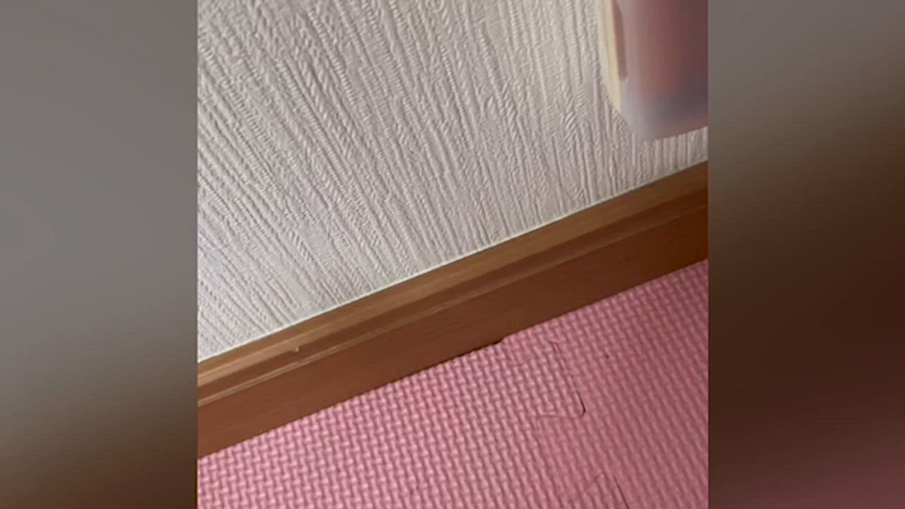 全体のレビュー動画のサムネイル | 3