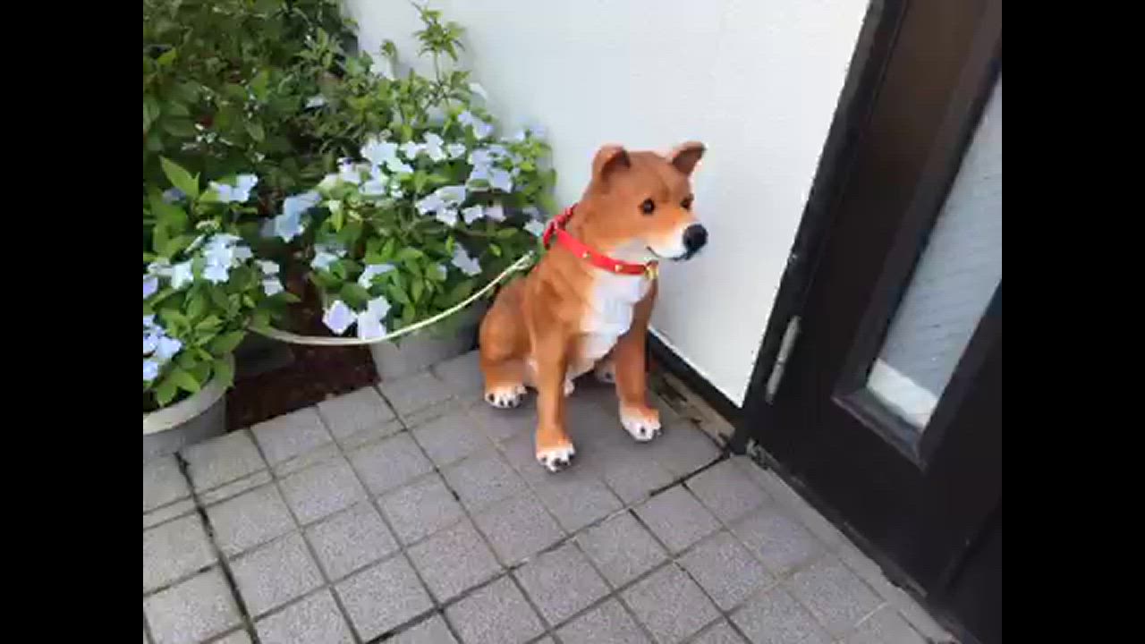 庭 置物 犬 ガーデンオーナメント 吠える ビッグリキ 明暗
