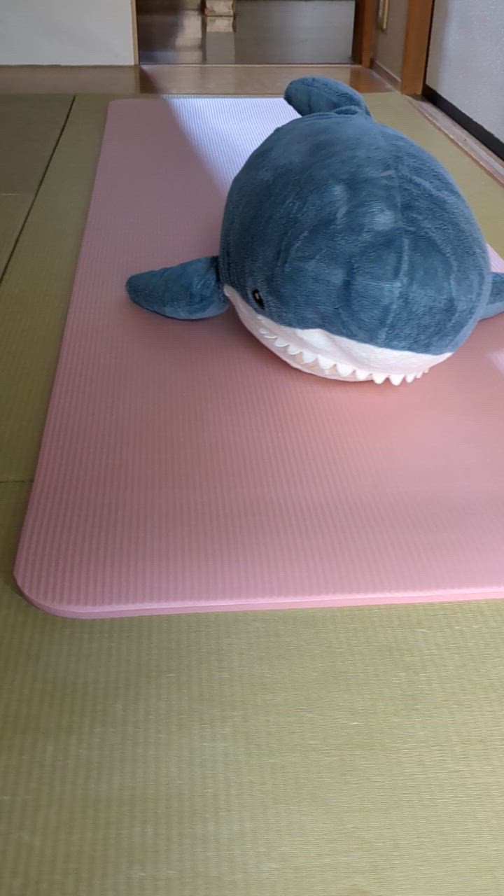 全体のレビュー動画のサムネイル | 7