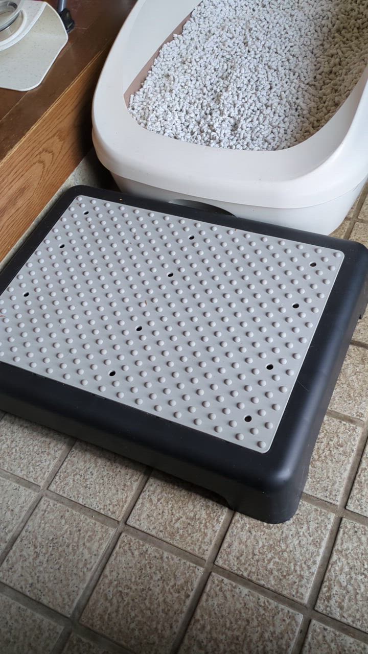 全体のレビュー動画のサムネイル | 1