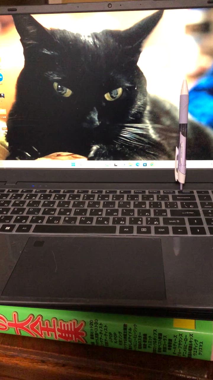 全体のレビュー動画のサムネイル | 0