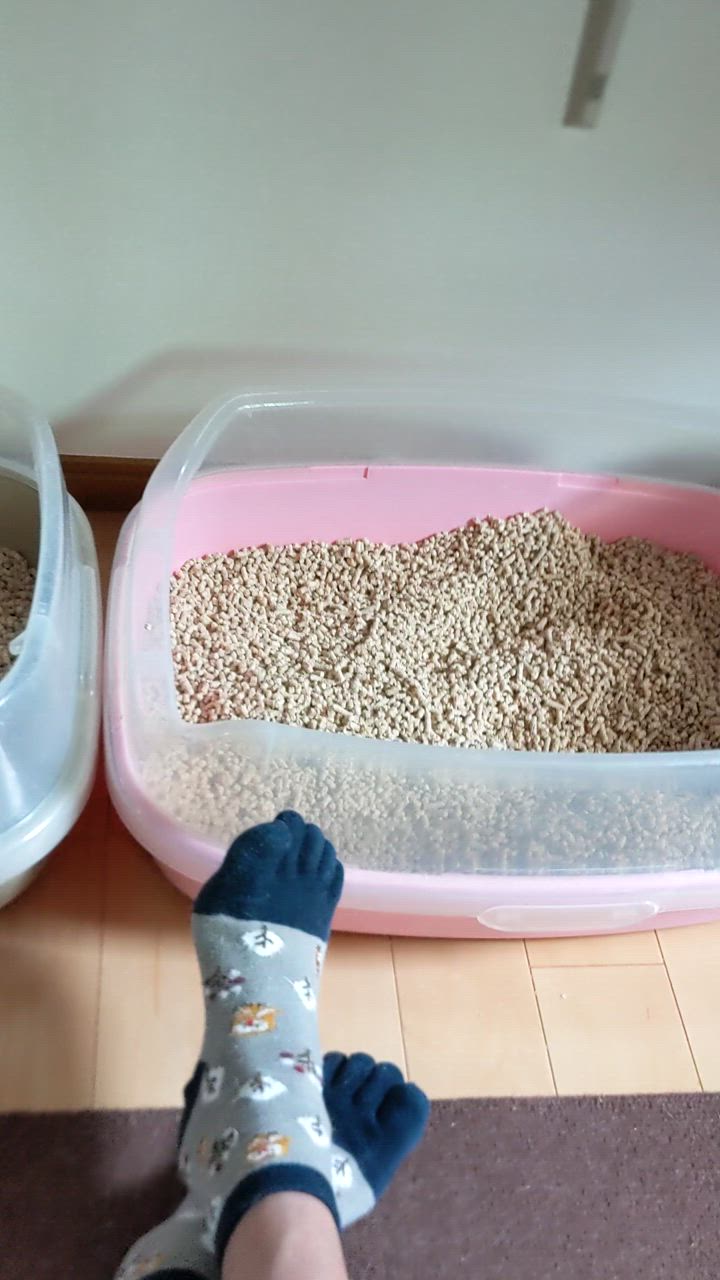 全体のレビュー動画のサムネイル | 13