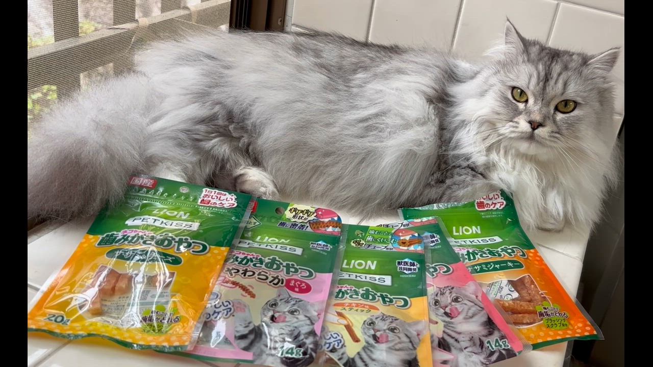 全体のレビュー動画のサムネイル | 2