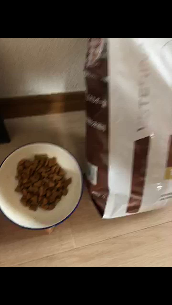 ロイヤルカナン 療法食 猫用 消化器サポート(可溶性繊維) ドライ ロイヤルカナン 療法食 猫用 消化器サポート(可溶性繊維) ドライ