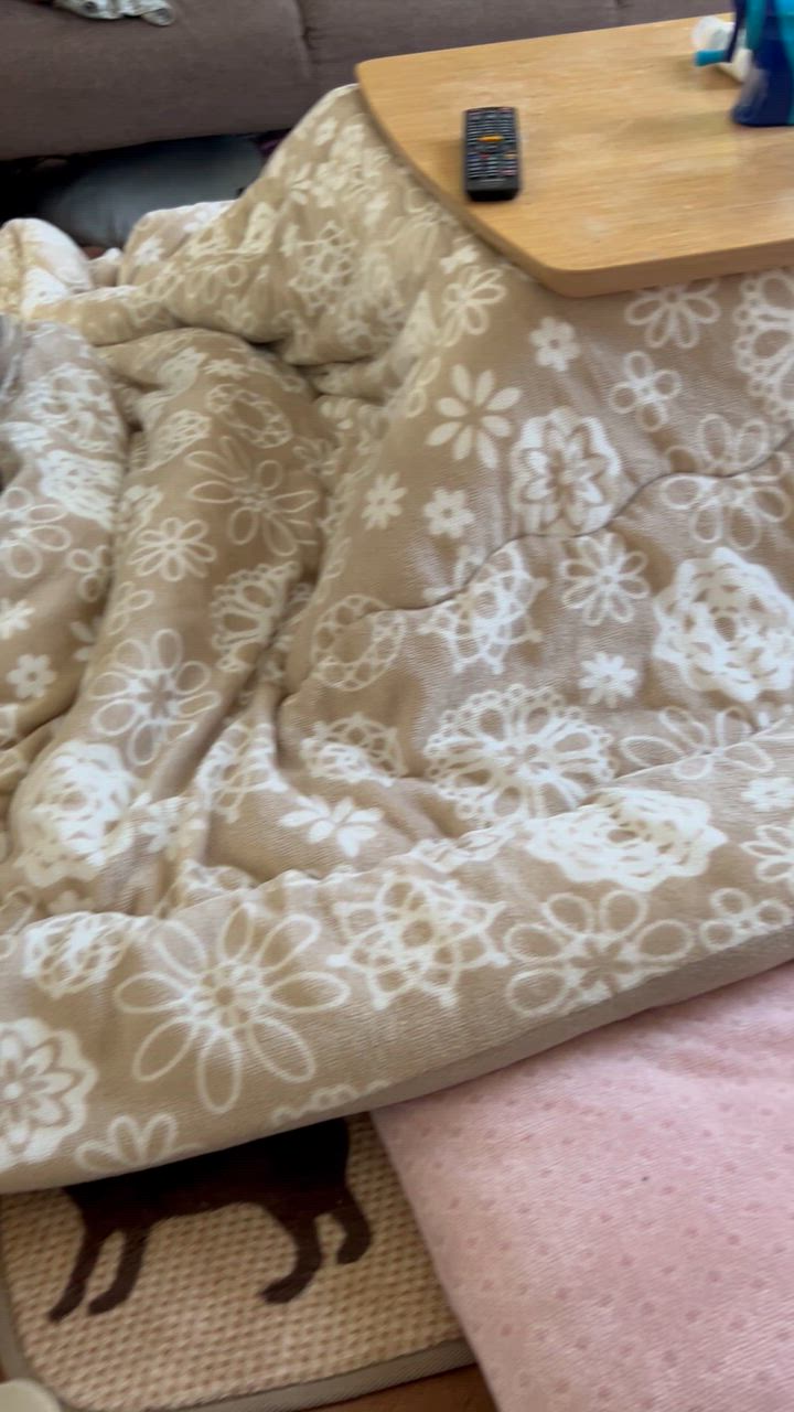 全体のレビュー動画のサムネイル | 15